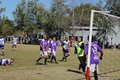 IMG_3610