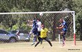 IMG_3486