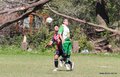 IMG_4223