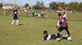 IMG_4279