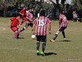 IMG_4935