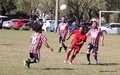 IMG_4907
