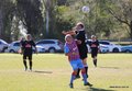 IMG_5061