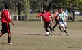 IMG_5313