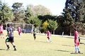 IMG_5310