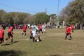IMG_5321
