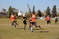 IMG_5366