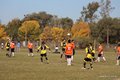 IMG_5355