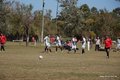 IMG_5311