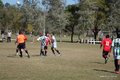 IMG_5329