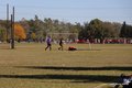 IMG_5347