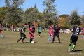 IMG_5307