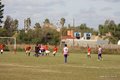 IMG_5690