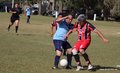 IMG_5581