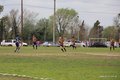 IMG_2546