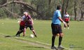 IMG_2982