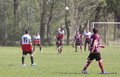 IMG_2985