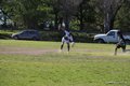 IMG_3360