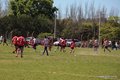 IMG_3250