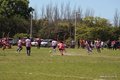 IMG_3249