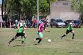 IMG_3669