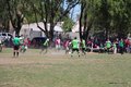 IMG_3664