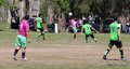 IMG_3684