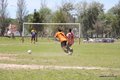 IMG_3761
