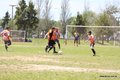 IMG_3764
