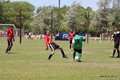 IMG_3786