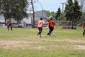 IMG_3762