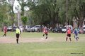 IMG_4133