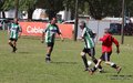 IMG_4638