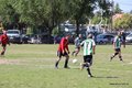 IMG_4636