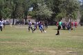 IMG_4558