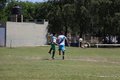 IMG_4526