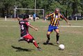 IMG_4615
