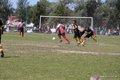 IMG_4623
