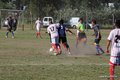 IMG_5203