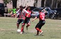 IMG_4920