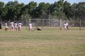 IMG_5534