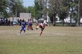 IMG_5384