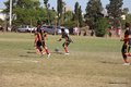 IMG_5442