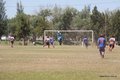 IMG_5387