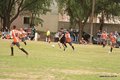 IMG_6426