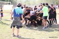 IMG_6519