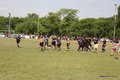 IMG_6493