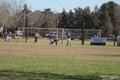 IMG_9726