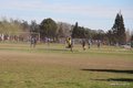 IMG_0439
