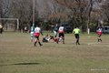 IMG_0526